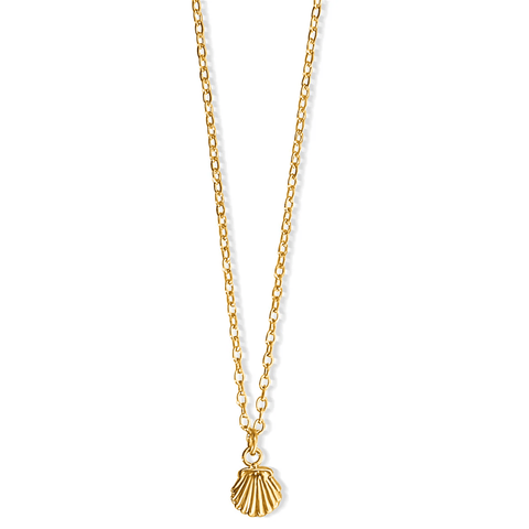 Ellie Vail / Tacha Mini Shell Necklace - nineNORTH | Men's & Women's Clothing Boutique