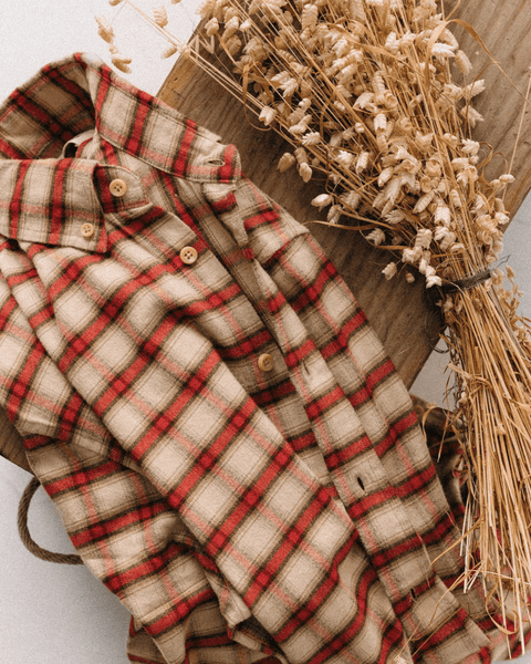 Taylor Stitch The Jack / Cardinal Plaid Flannel - nineNORTH | Men's & Women's Clothing Boutique