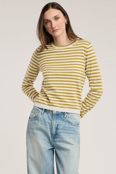 Velvet Roxy Sweater - Gold - nineNORTH | Men's & Women's Clothing Boutique
